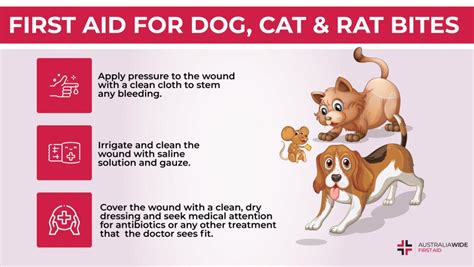 dog bite treatment guidelines india